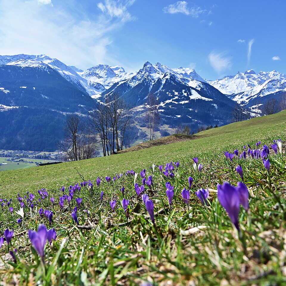 Hotel Fernblick Montafon 4Sterne Wellnesshotel