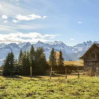 Hotel Fernblick Montafon - Landschaft im Sommer