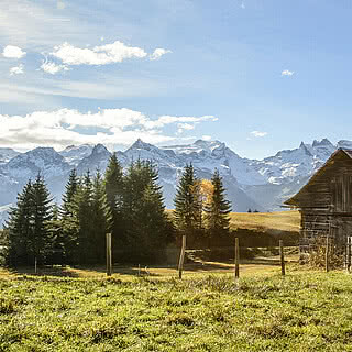 Hotel Fernblick Montafon - Landschaft im Sommer