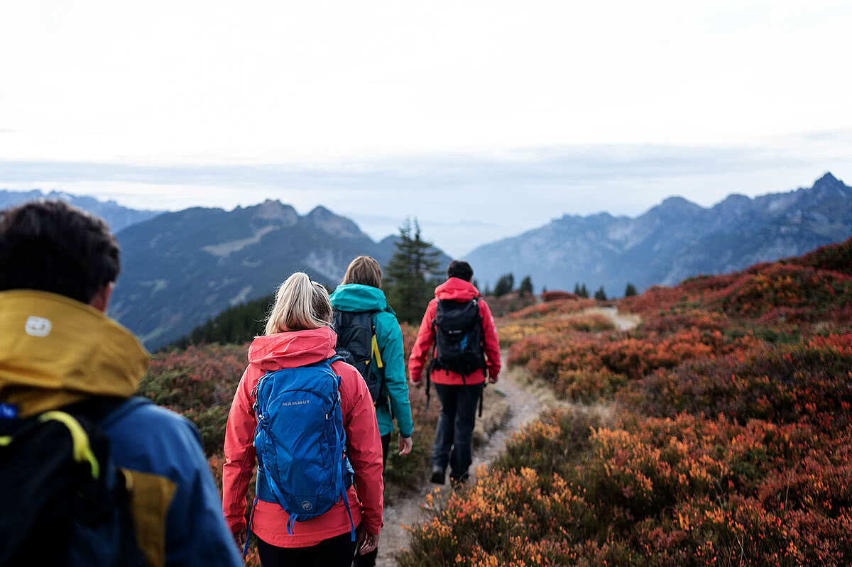 Wandergruppe von hinten beim Wandern im Herbst im Montafon