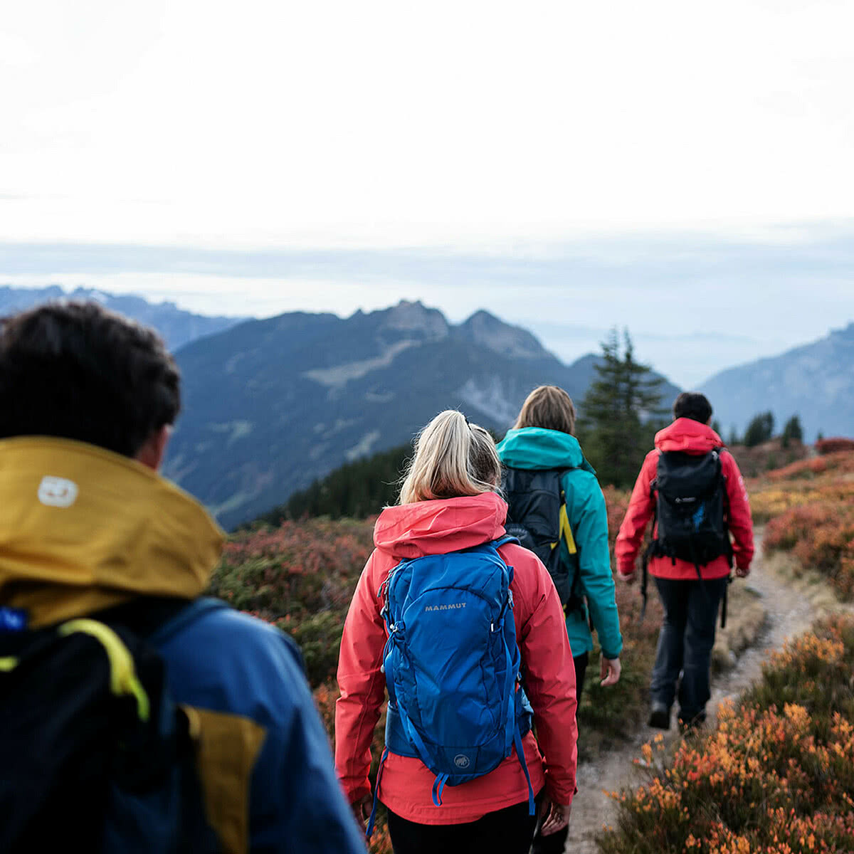 Wandergruppe von hinten beim Wandern im Herbst im Montafon