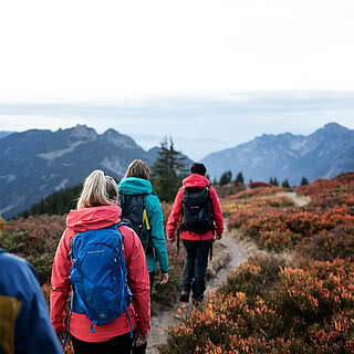 Wandergruppe von hinten beim Wandern im Herbst im Montafon