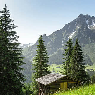 Hotel Fernblick Montafon - Landschaft im Sommer