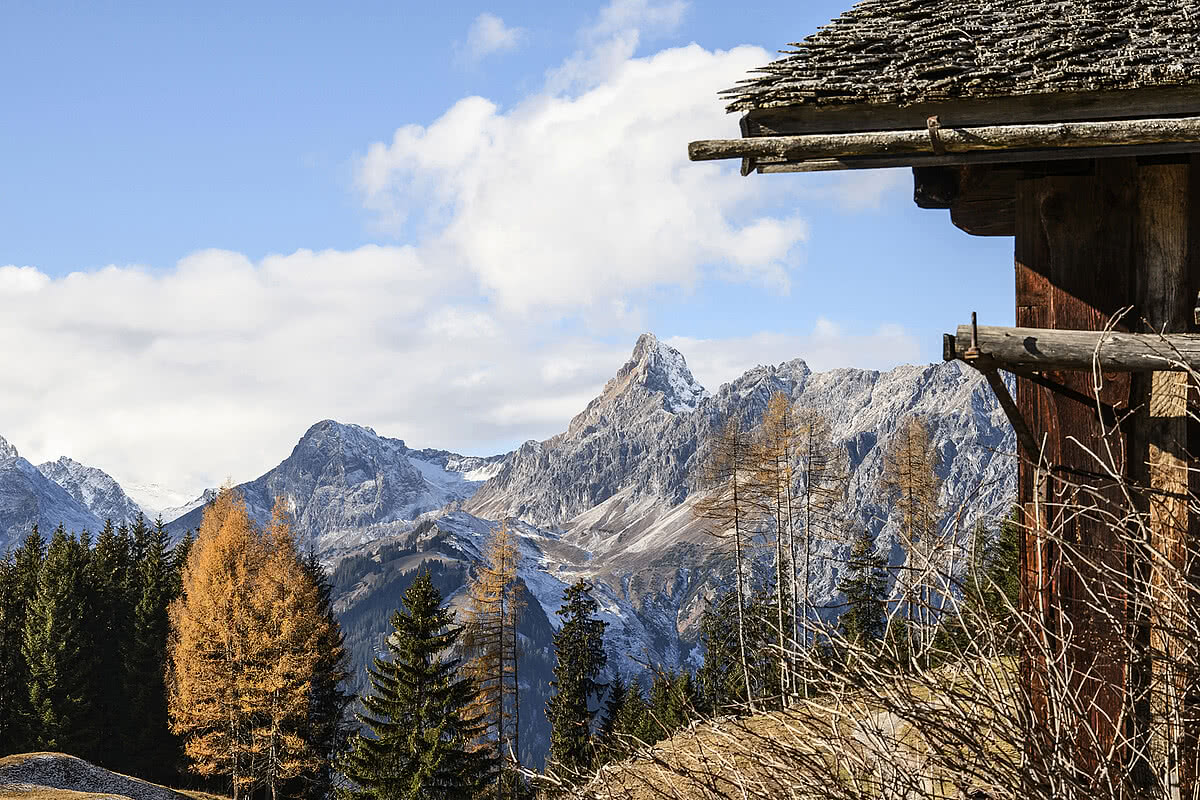 Hotel Fernblick Montafon - Landschaft im Sommer