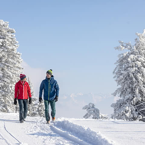 Winterspaziergang durchs Motafon