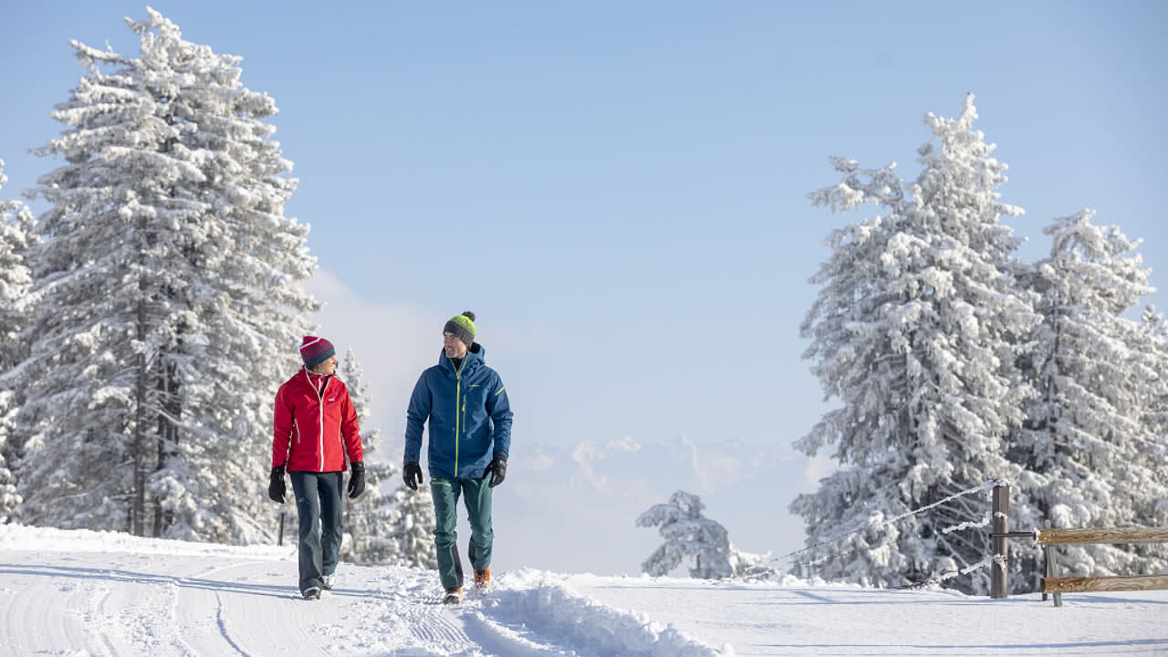 Winterspaziergang durchs Motafon