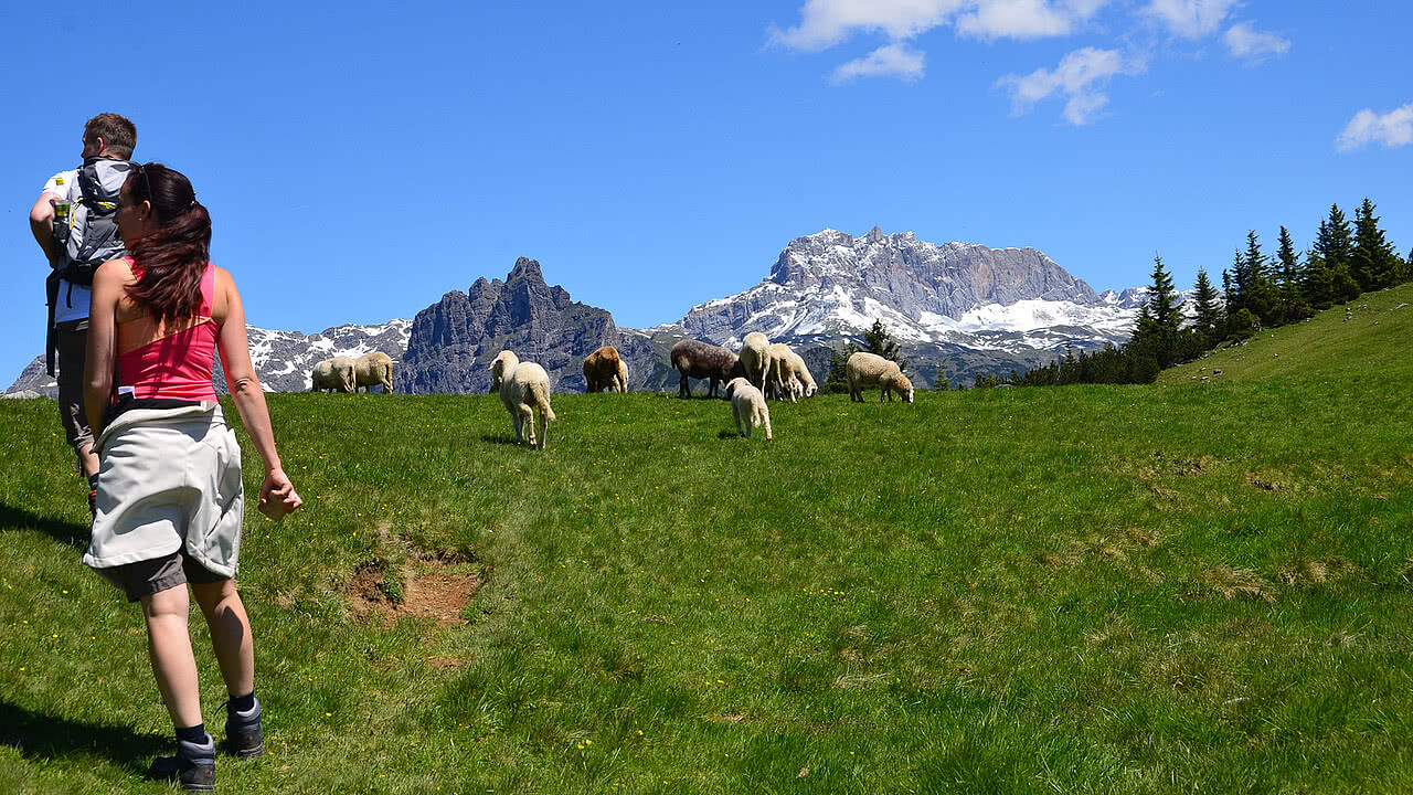 [Translate to French:] Wandern in der Natur