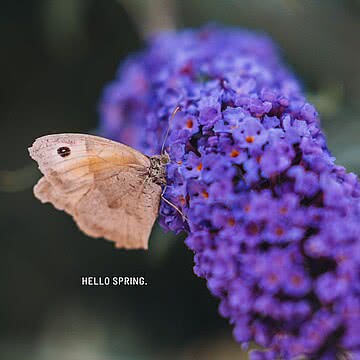 Der Winter zieht leise weiter – und macht Platz für das, worauf wir alle gewartet haben ️ Die ersten Farben, die ersten warmen Sonnenstrahlen, dieses Gefühl von Leichtigkeit, das plötzlich wieder da...