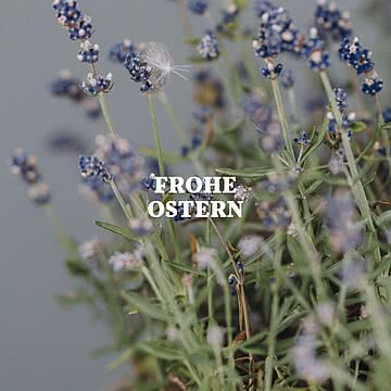 Frohe Ostern aus dem Fernblick. Wir wünschen unseren Gästen und unserem gesamten Team erholsame Feiertage, sonnige Frühlingsmomente und viele kleine Augenblicke zum Innehalten und Genießen.